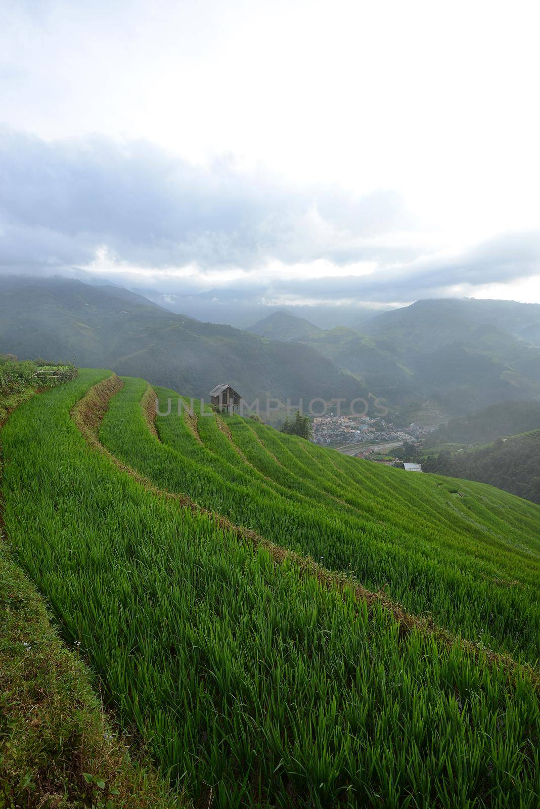 rice terrace from mu cang chai, vietnam