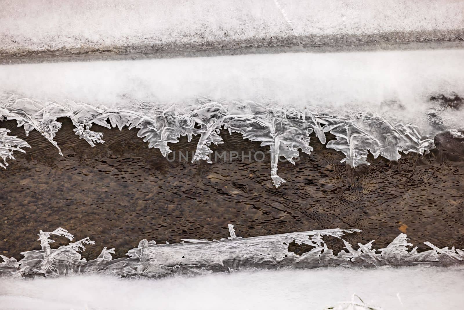 Beautiful ice crystals in different shapes on a stream in winter with high depth of field