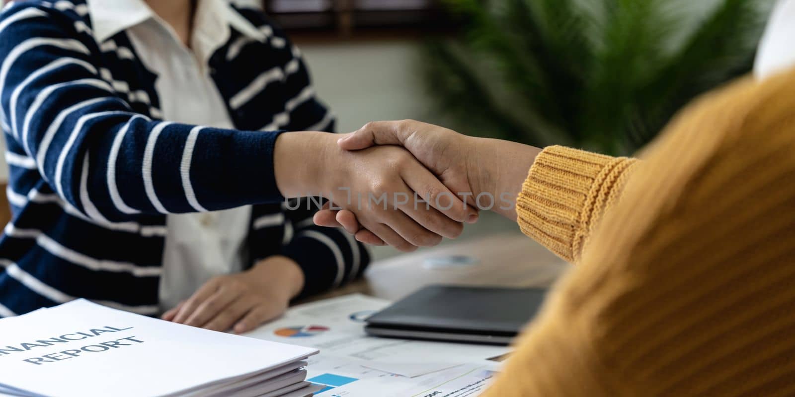 Business people shaking hands, finishing up meeting about financial
