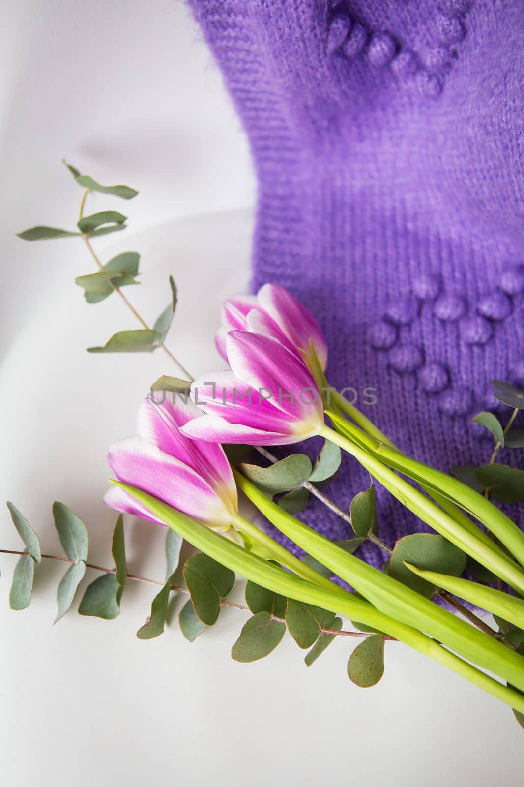 Beautiful purple tulip with eucalyptus on a white chair along with a purple sweater. Spring mood, March 8th