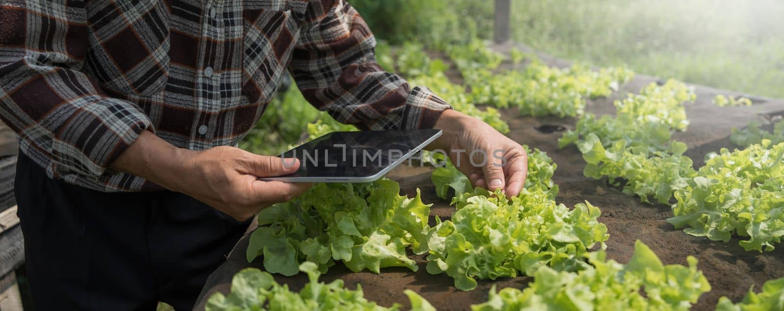 Farmer checking quality by tablet agriculture modern technology. Concept using modern technologies in agriculture. Man agronomist farmer with digital tablet computer. by wichayada