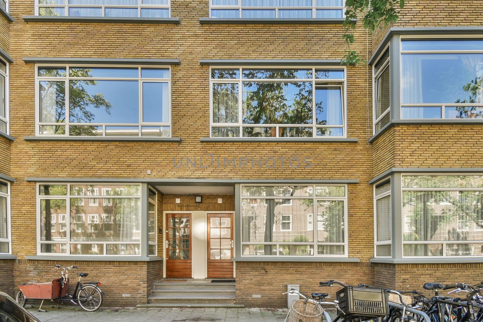 View of street near building with beauty of vegetation outside