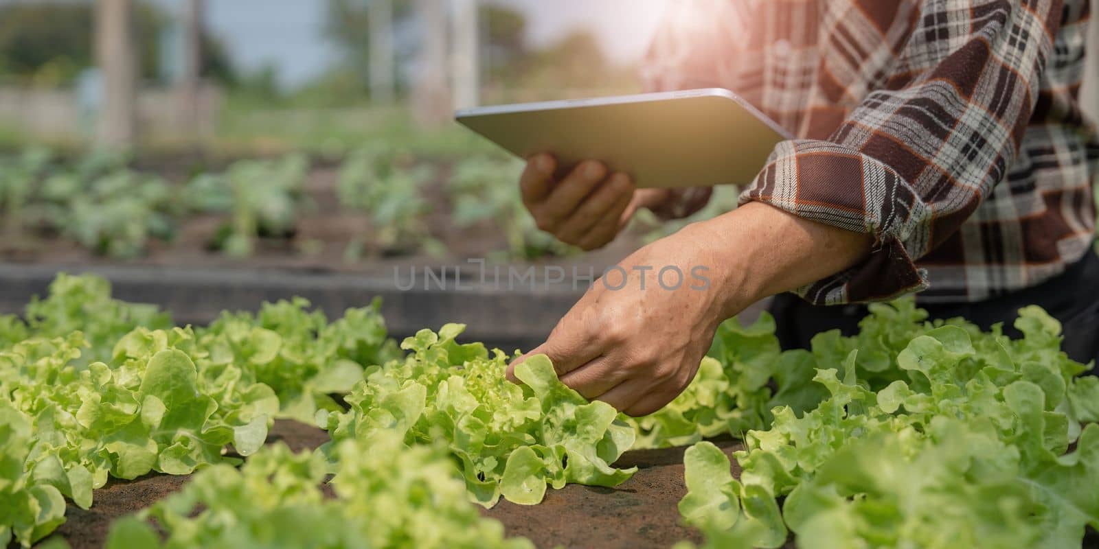 Farmer checking quality by tablet agriculture modern technology. Concept using modern technologies in agriculture. Man agronomist farmer with digital tablet computer...