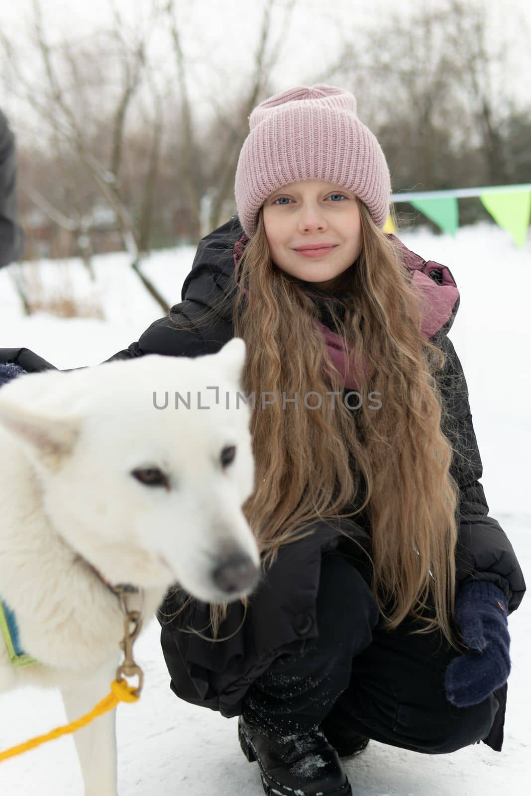 outdoor season friendship husky winter woman adult young girl animal snow dog pet person park by 89167702191
