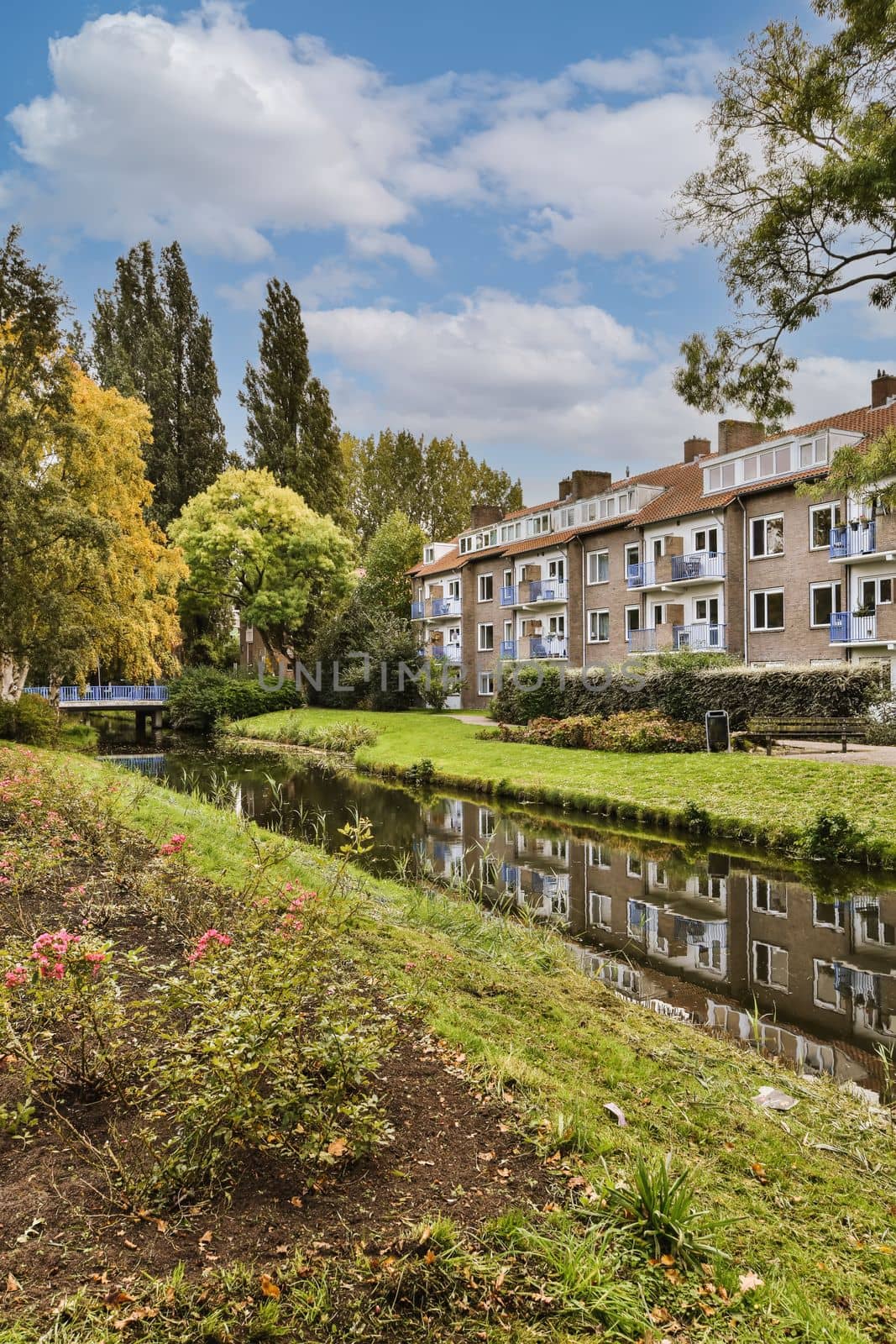 some houses by the water with trees and flowers in the foregrounds on the other side of the river