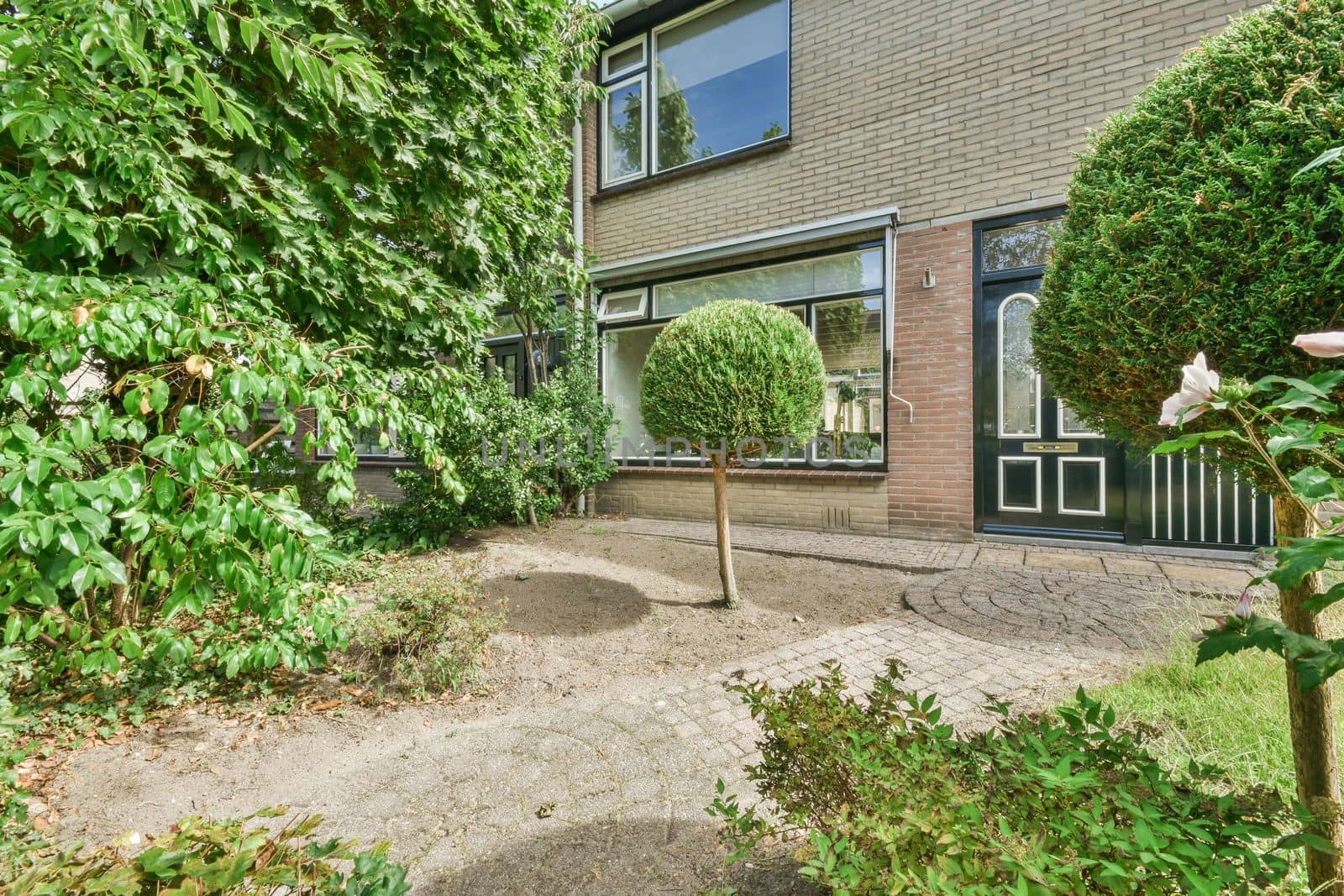 View of street near building with beauty of vegetation outside