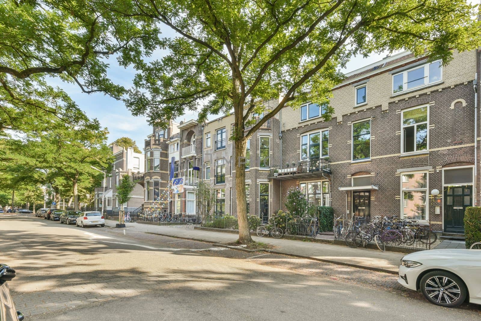 View of street near building with beauty of vegetation outside