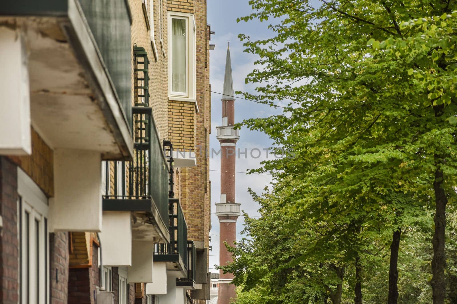 View of street near building with beauty of vegetation outside