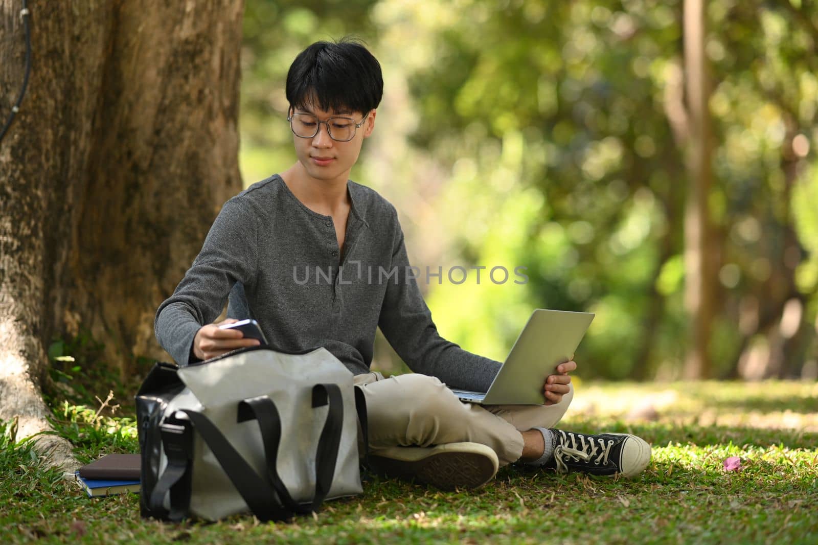 Young asian man student using laptop under the tree in evening sunlight. Education and lifestyle concept.