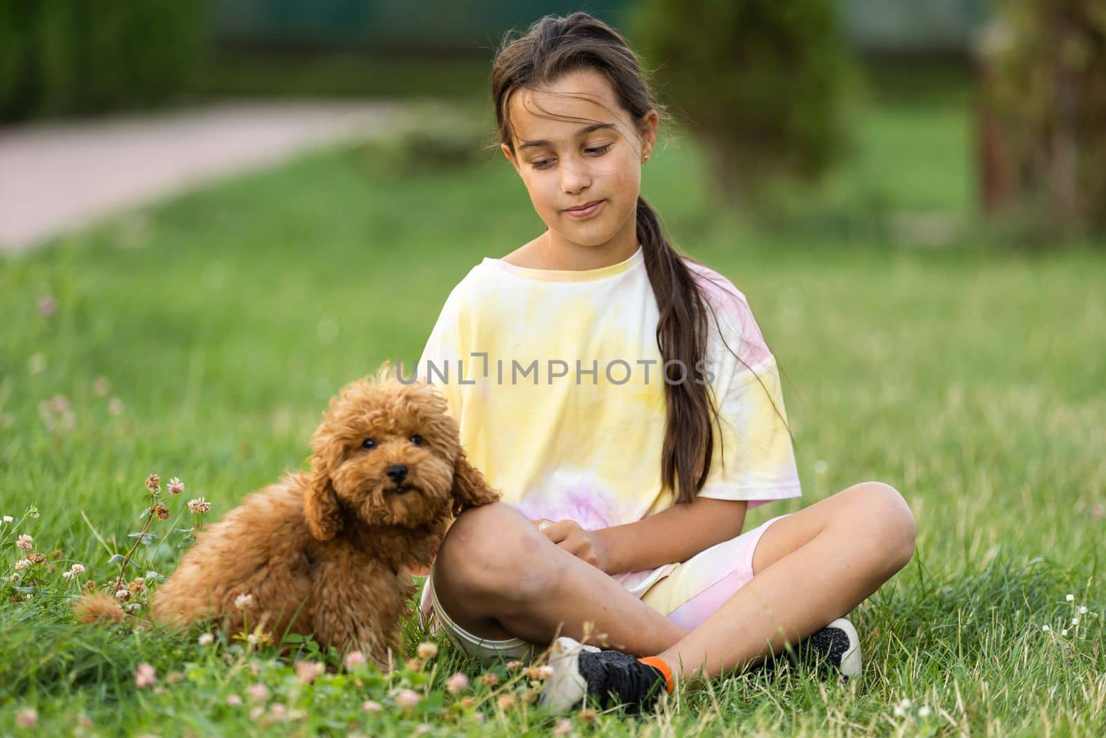 Little dog with owner spend a day at the park playing and having fun