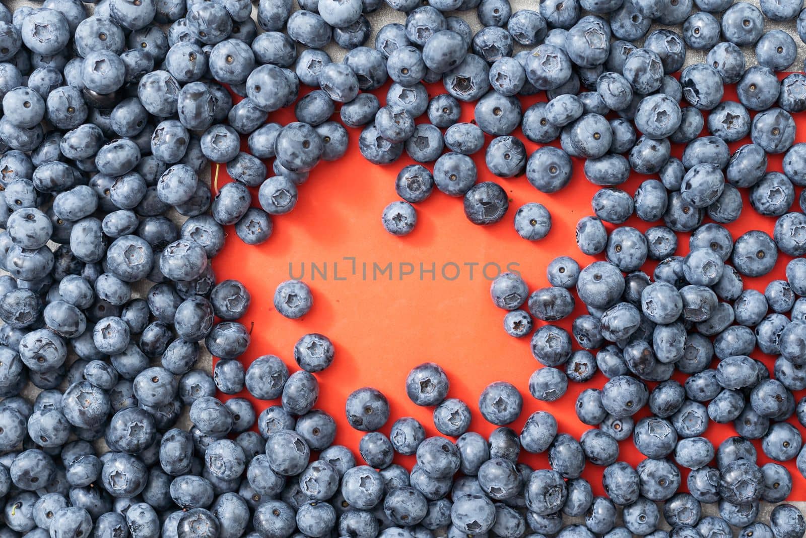 Large blueberries on a red background, close-up.