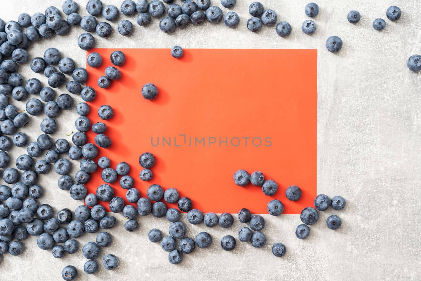 large blueberry on a red background.