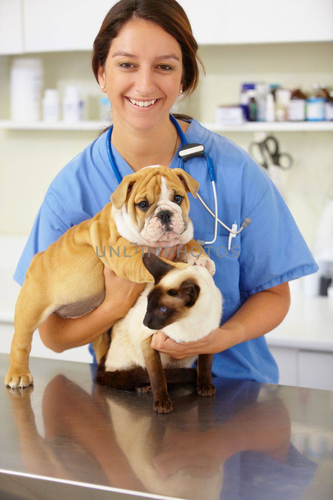 They certainly are a handful. Portrait of young female vet holding a bulldog puppy and a siamese kitting