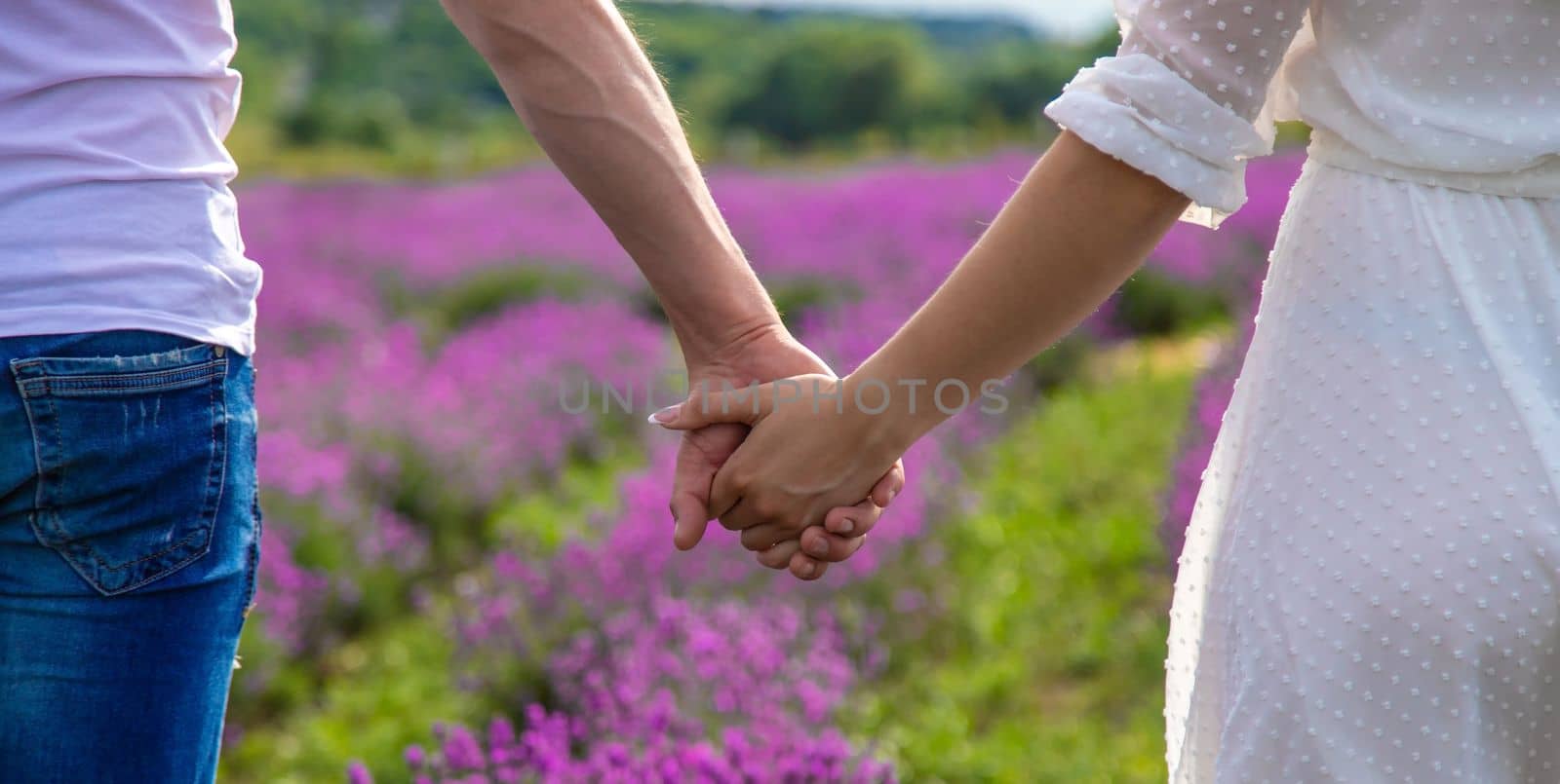 a man holds a girl by the hand in a field of lavender. Selective focus. Nature