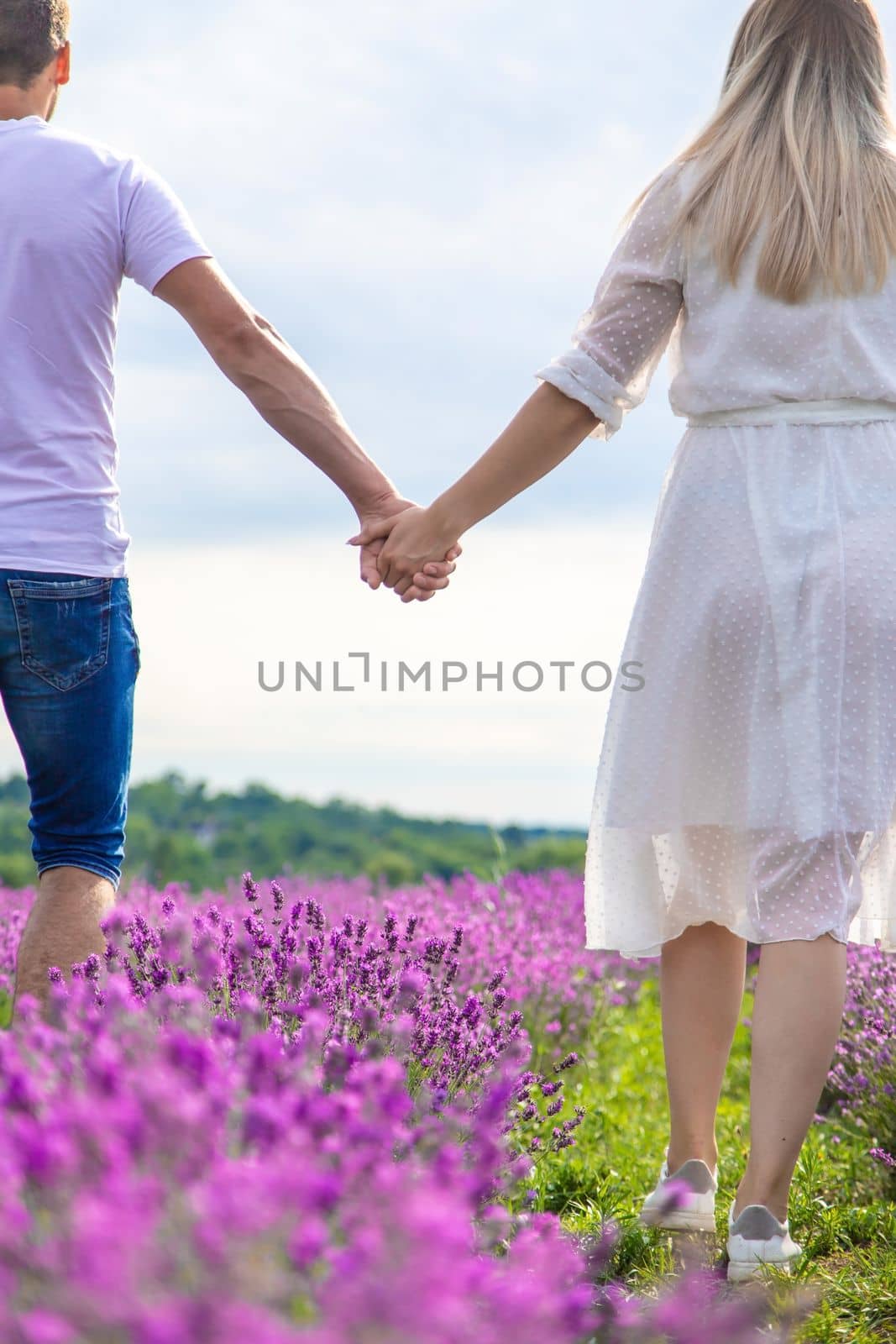 a man holds a girl by the hand in a field of lavender. Selective focus. Nature