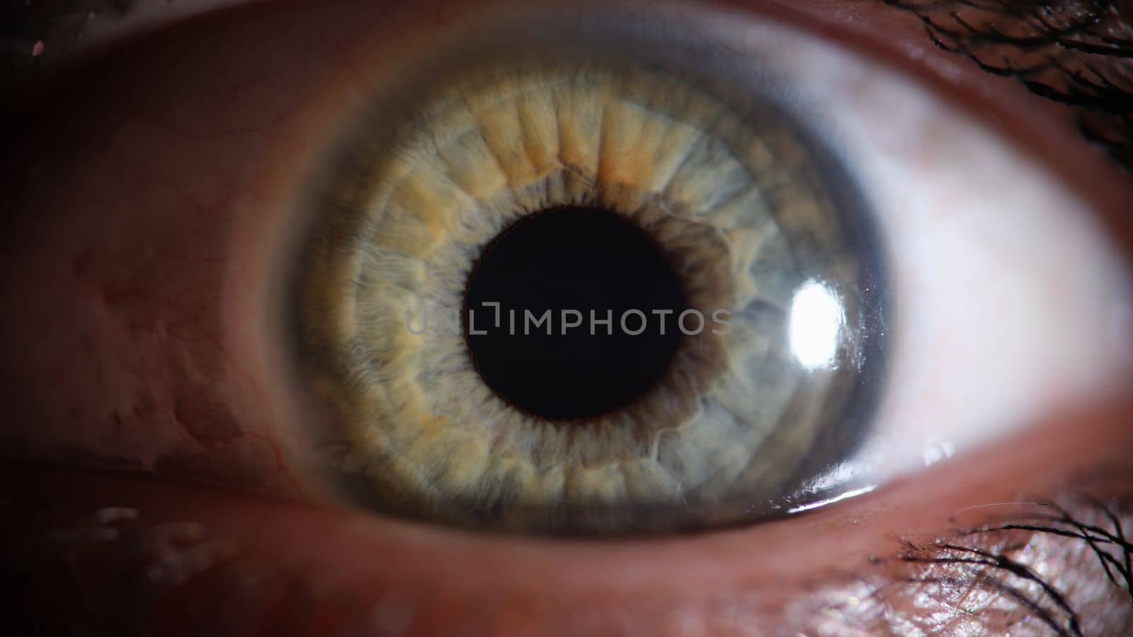 Person eye with beautiful green grey shades macro by kuprevich