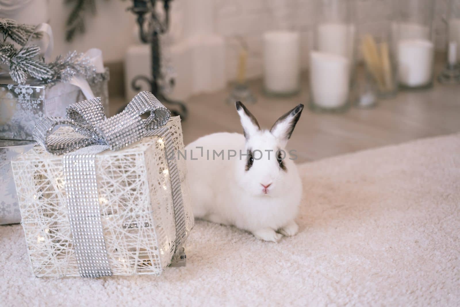 White rabbit with a gift under the tree as a symbol of the new year 2023