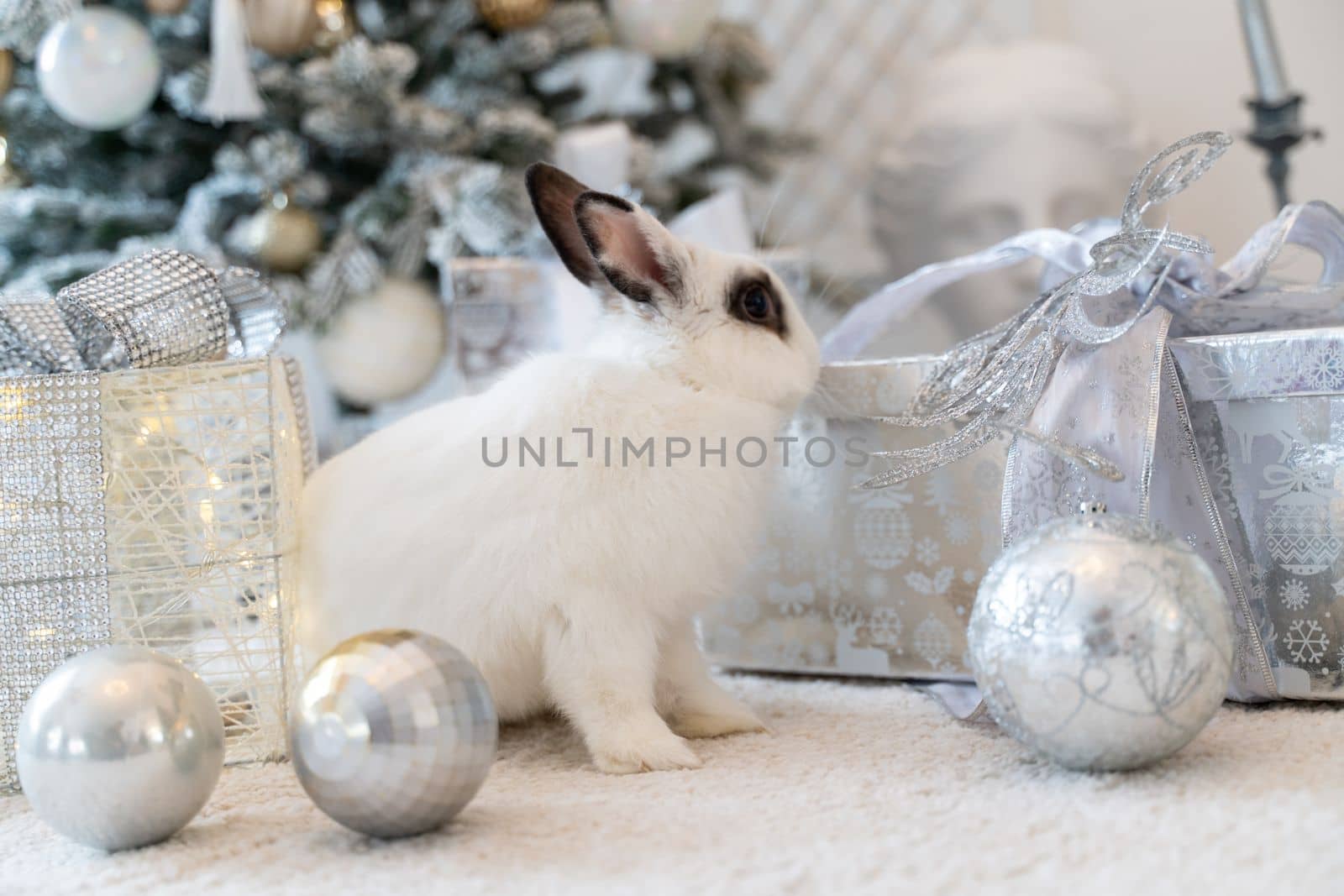 White rabbit with a gift under the tree as a symbol of the new year 2023