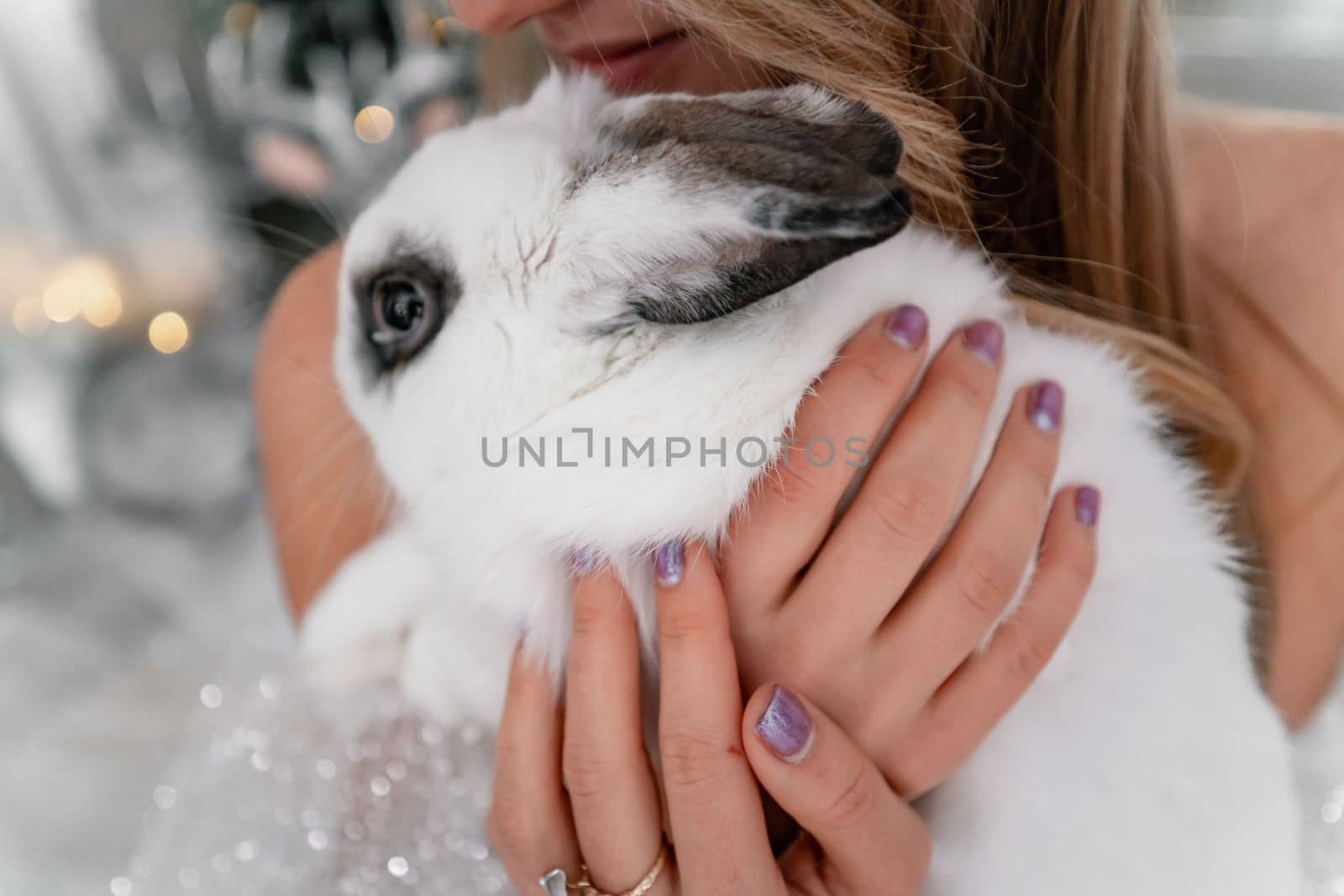 Woman holding a white rabbit symbol of the year 2023. Close-up of a beautiful young blonde woman holding a rabbit in a sparkly dress. She sits in a Christmas decorated room by Matiunina