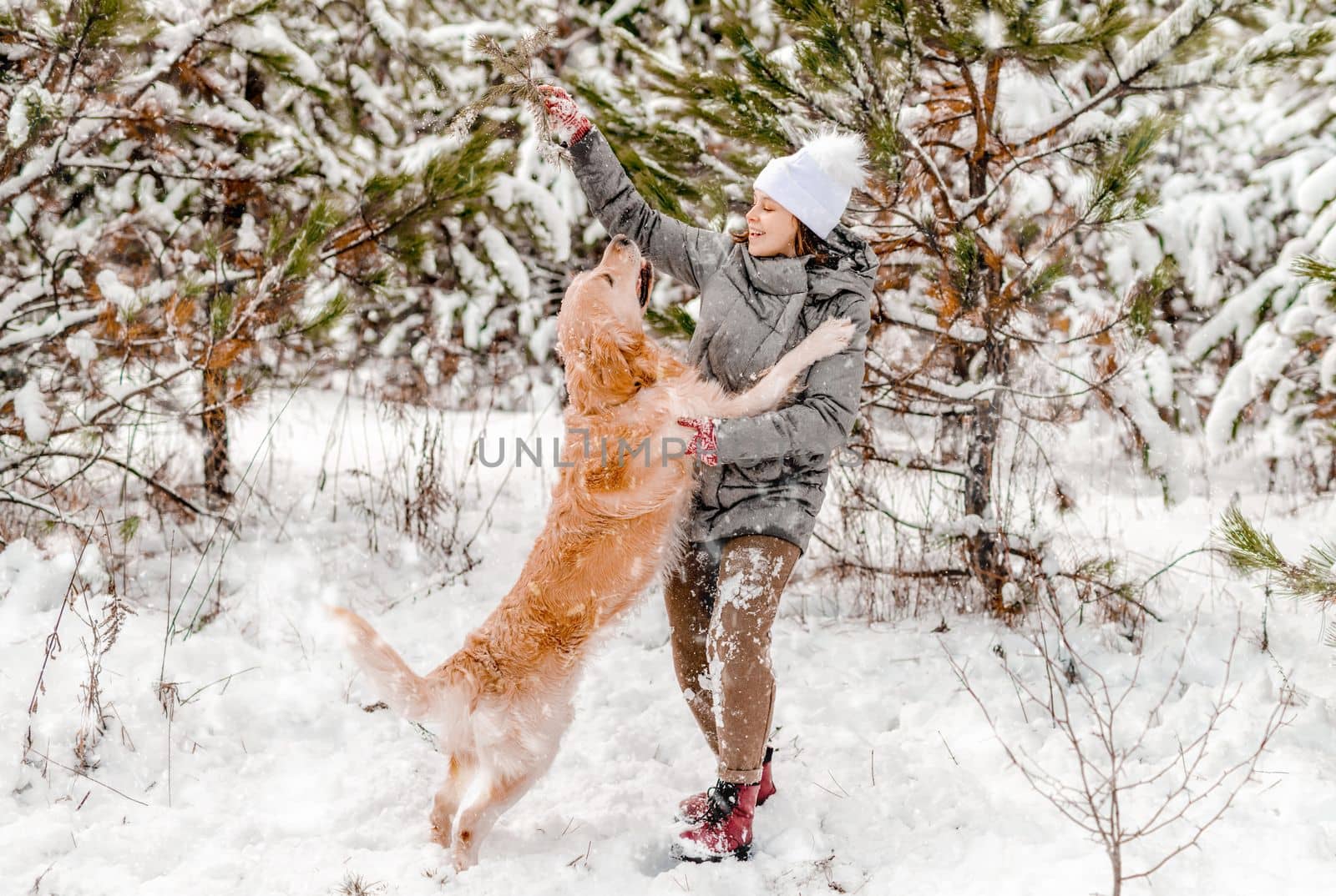 Girl playing with golden retriever dog in snow in winter time. Young woman with doggy pet labrador outdoors in cold weather with snowflakes