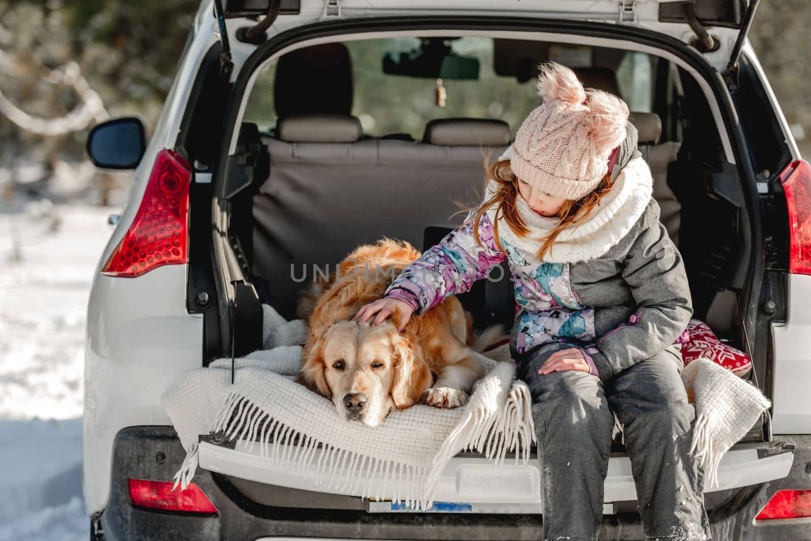 Girl child petting golden retriever dog in car trunk in winter time. Pretty kid with labrador pet doggy together in vehicle in cold weather