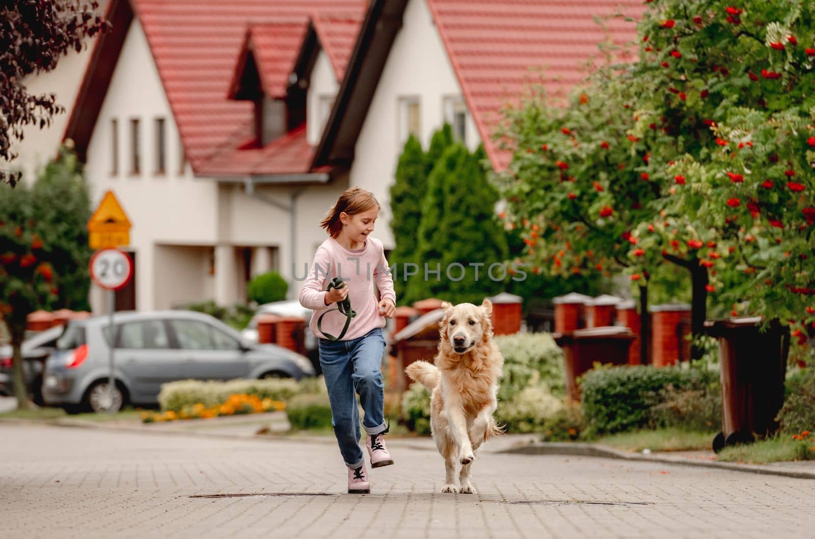 Preteen girl with golden retriever dog running outdoors together. Pretty kid child with purebred pet doggy at street