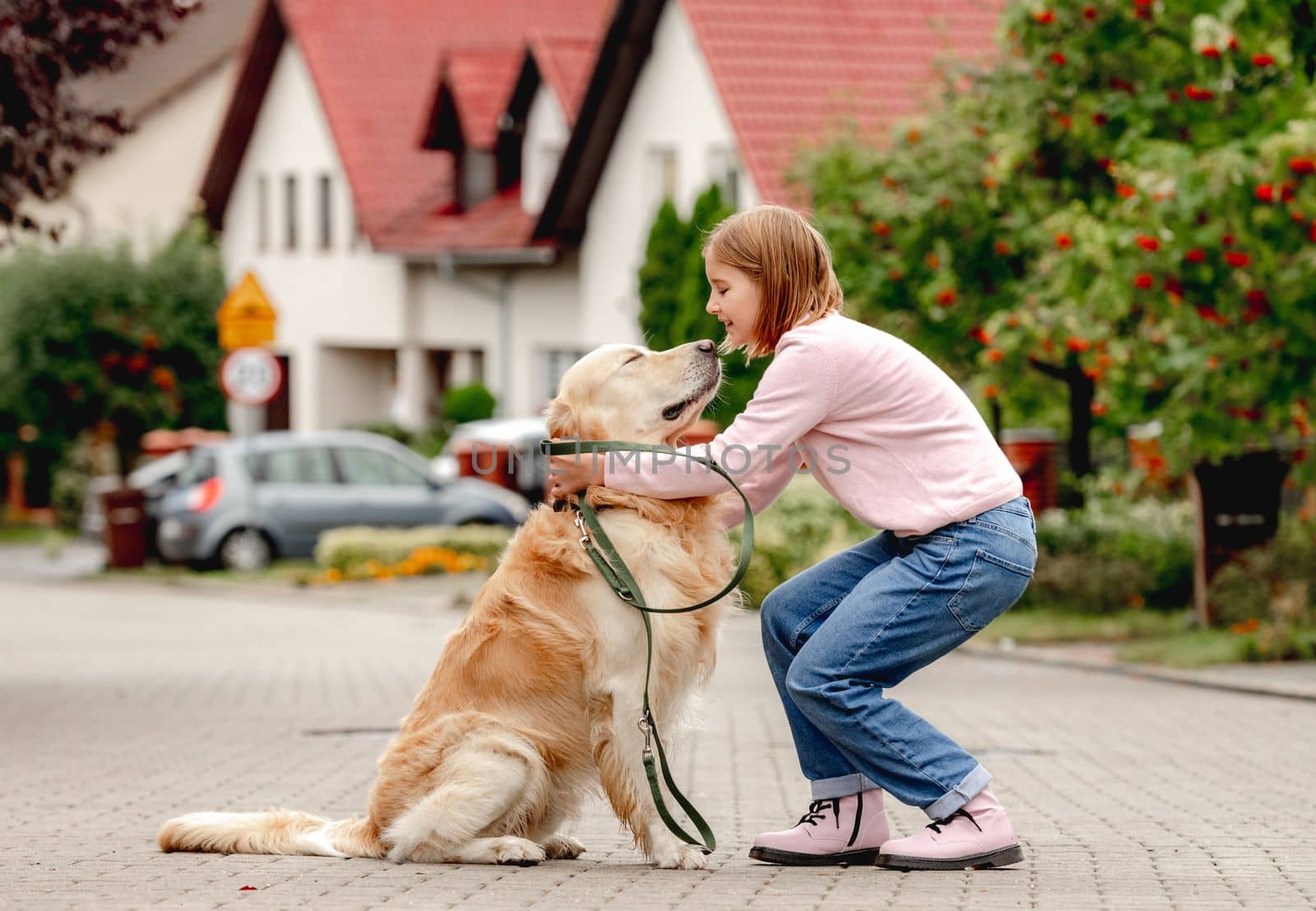 Preteen girl wear on golden retriever dog lace outdoors. Pretty kid child with purebred pet doggy walking at street