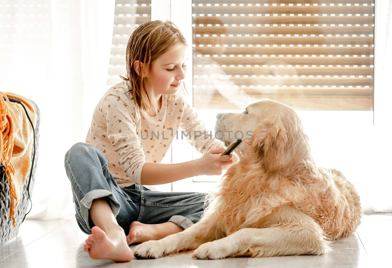 Preteen girl brushes golden retriever dog wet hair after shower and cleaning procedures at home. Pretty child kid with pet labrador friend indoors