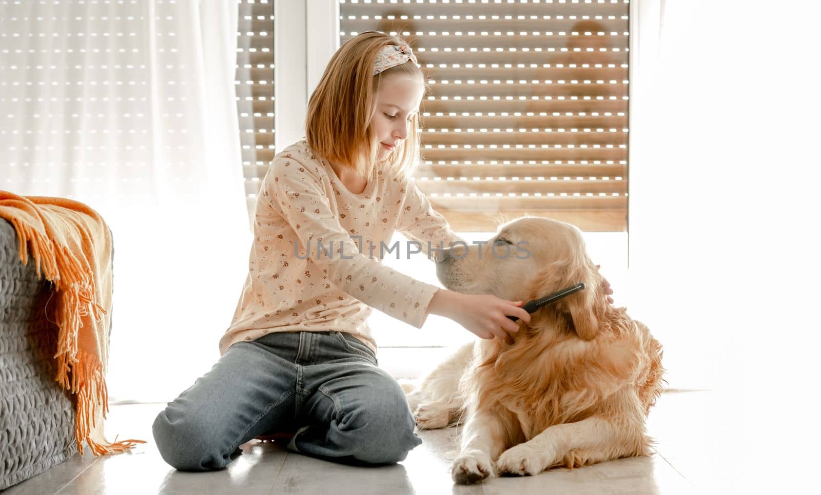 Preteen girl brushes golden retriever dog wet hair after shower and cleaning procedures at home. Pretty child kid with pet labrador friend indoors
