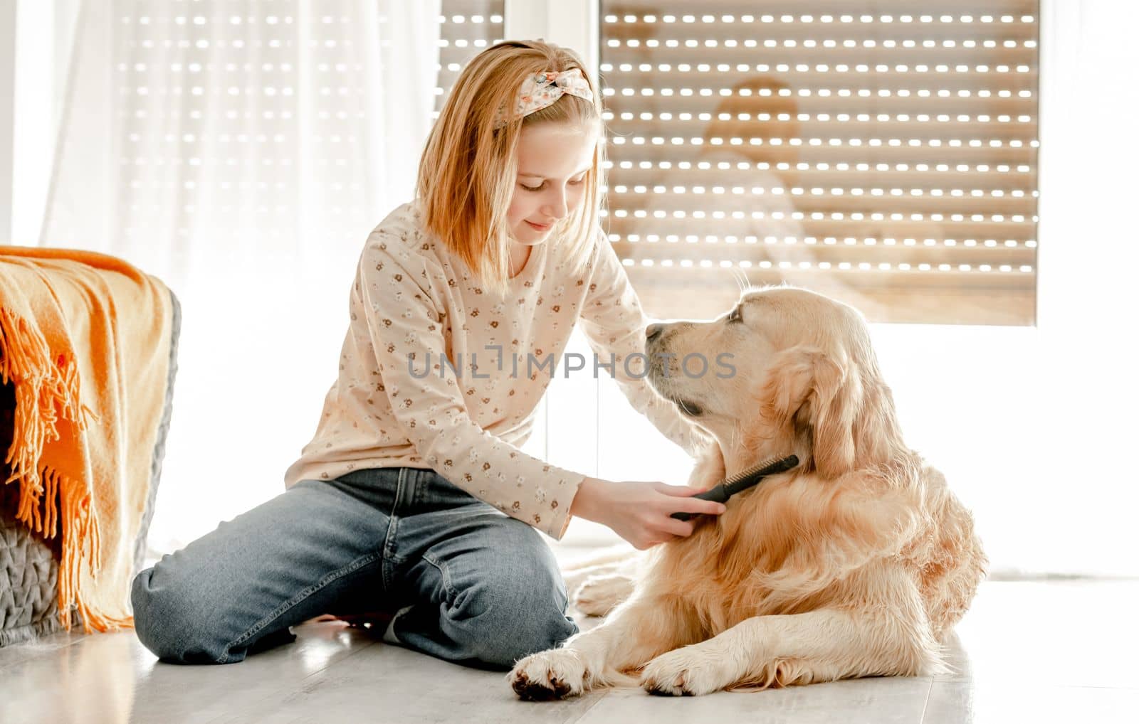 Preteen girl brushes golden retriever dog wet hair after shower and cleaning procedures at home. Pretty child kid with pet labrador friend indoors