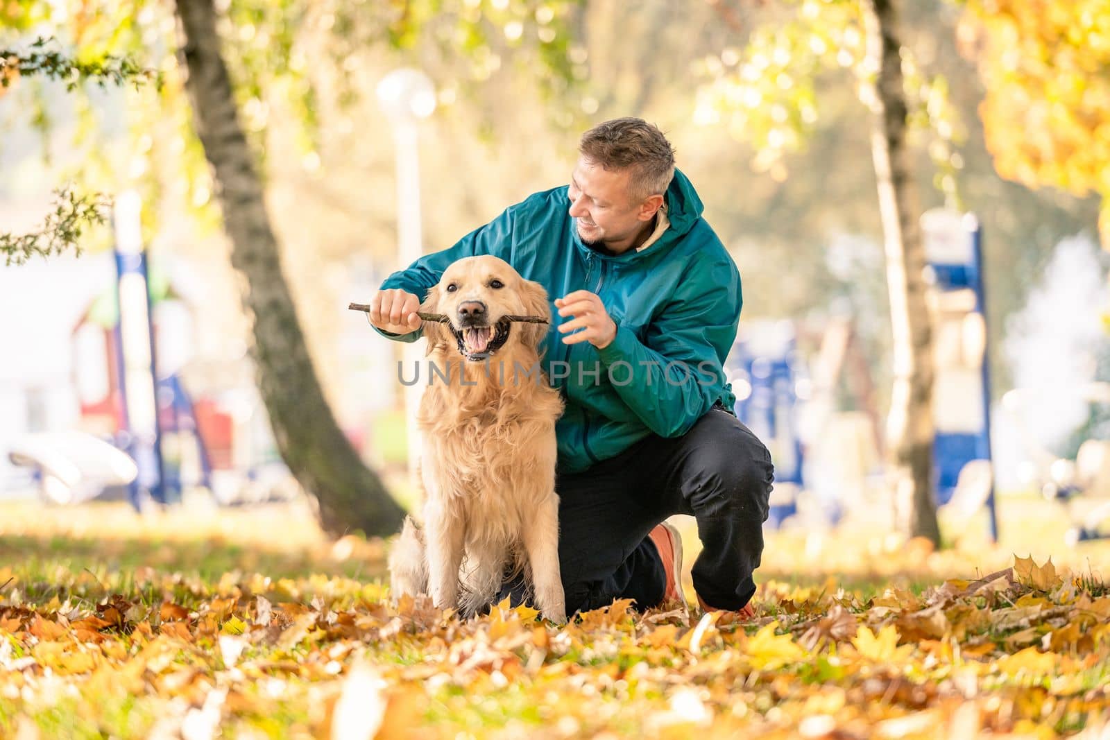 Man playing with his dog golden retriever in park by tan4ikk1