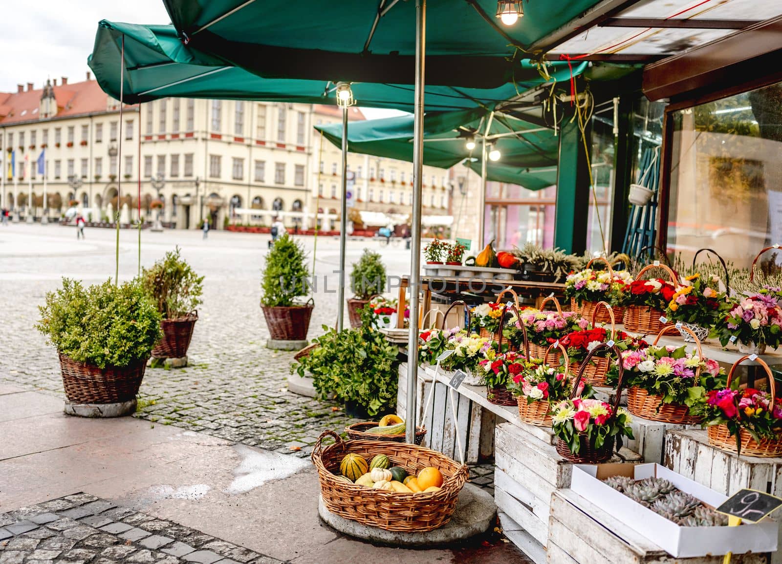 flower stall on Plac Solny square near central Market square in Wroclaw city in autumn