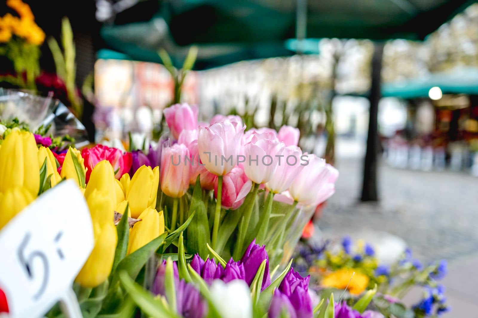 flower stall on Plac Solny square near central Market square in Wroclaw city in autumn