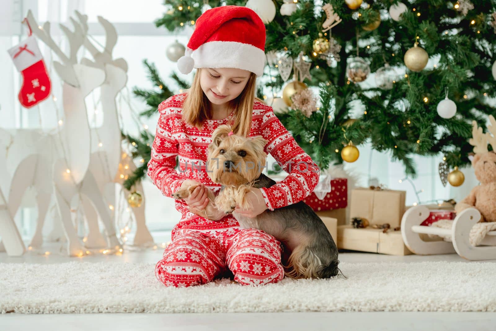 Child girl with dog sitting on floor with Christmas tree on background. Kid and pet doggy in New Year time
