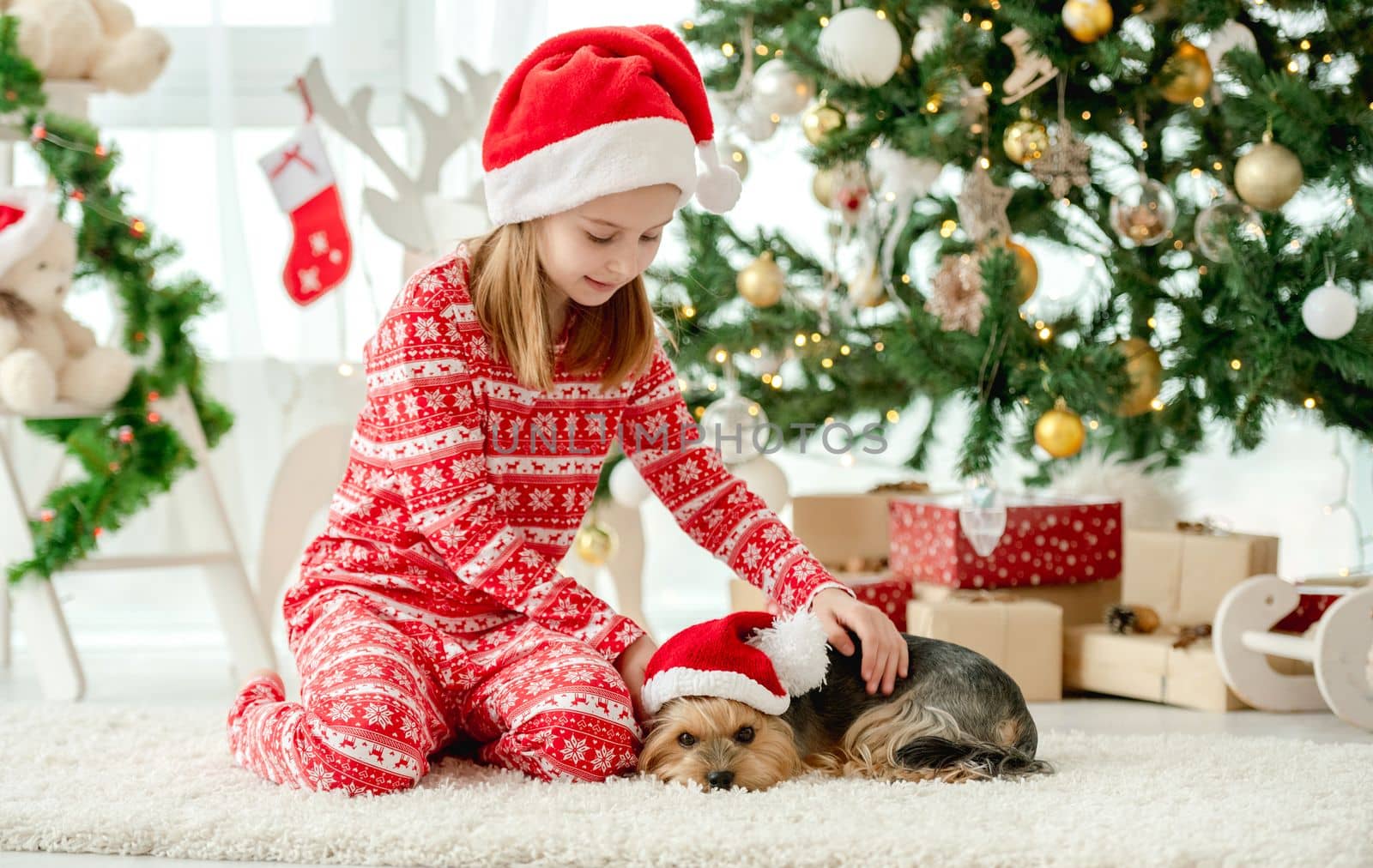 Child girl petting dog wearing Santa hat at home in Christmas time. Female kid with doggy pet in New Year time