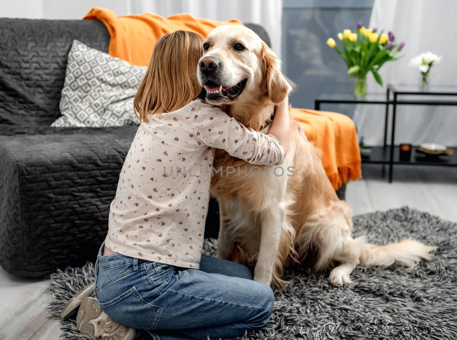 Preteen girl child hugging golden retriever dog sitting on floor at home. Cute kid with purebred pet doggy labrador indoors