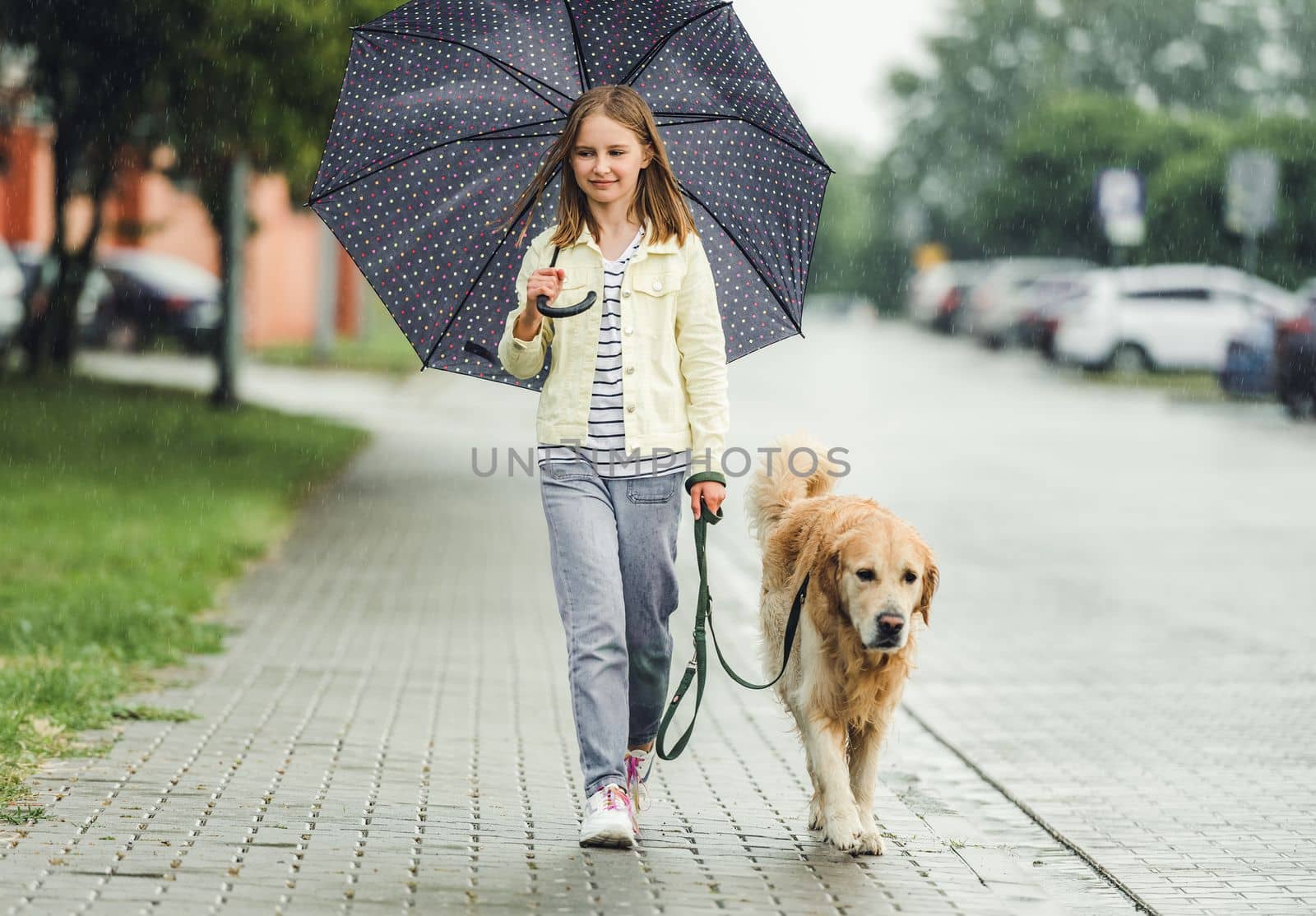 Preteen girl with golden retriever dog in rainy day walking outdoors in city park. Cute kid child with labrador pet doggy outside