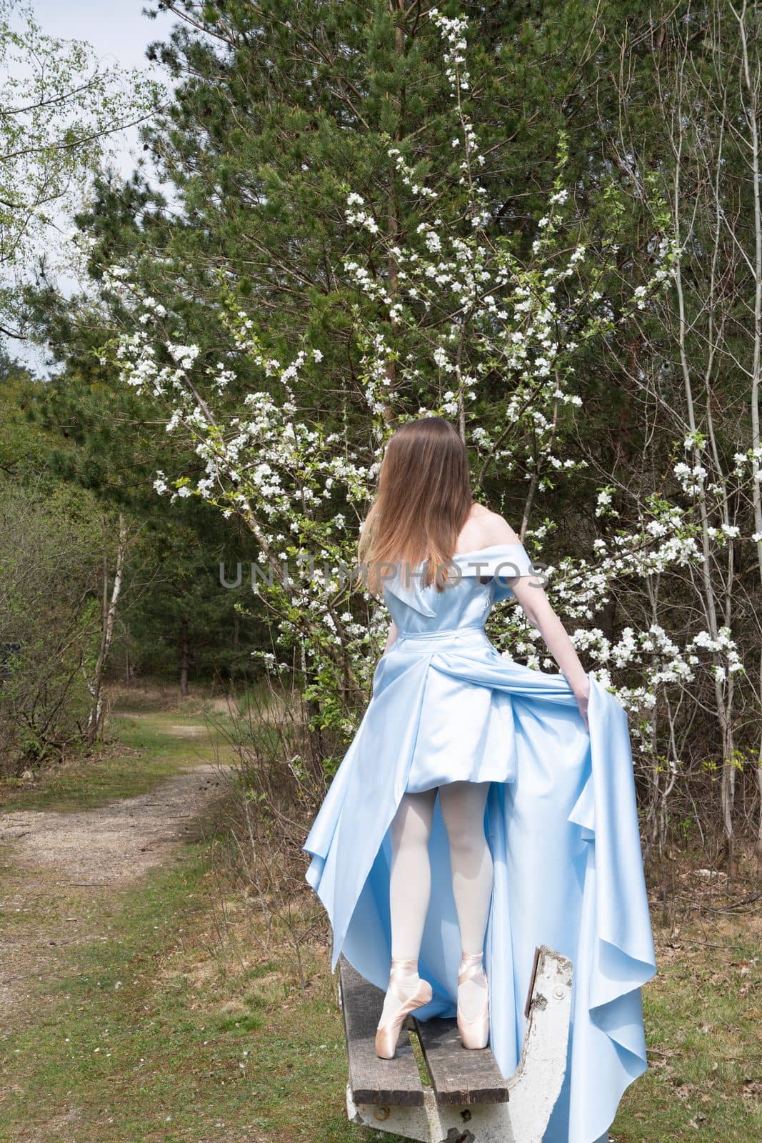 beautiful ballerina in a blue wedding dress on the background of a forest lake,a green flowering lawn in early spring, fashion style. High quality photo