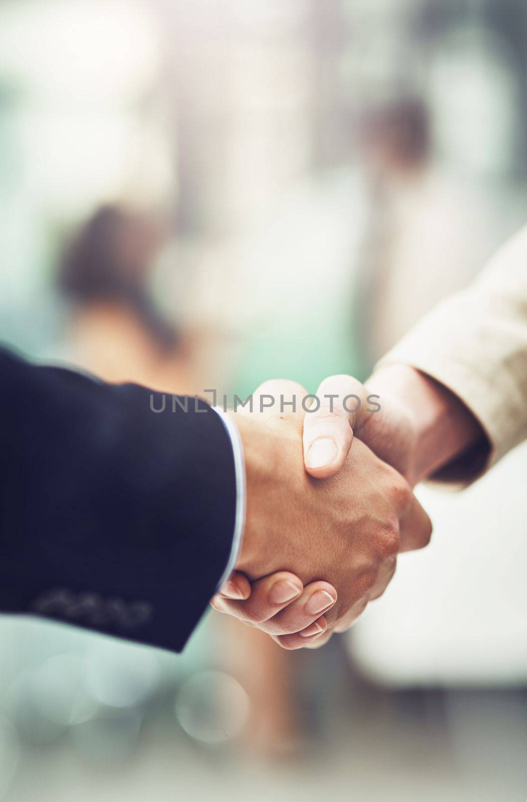 I believe in your skills, talents and knowledge. businesspeople shaking hands in an office
