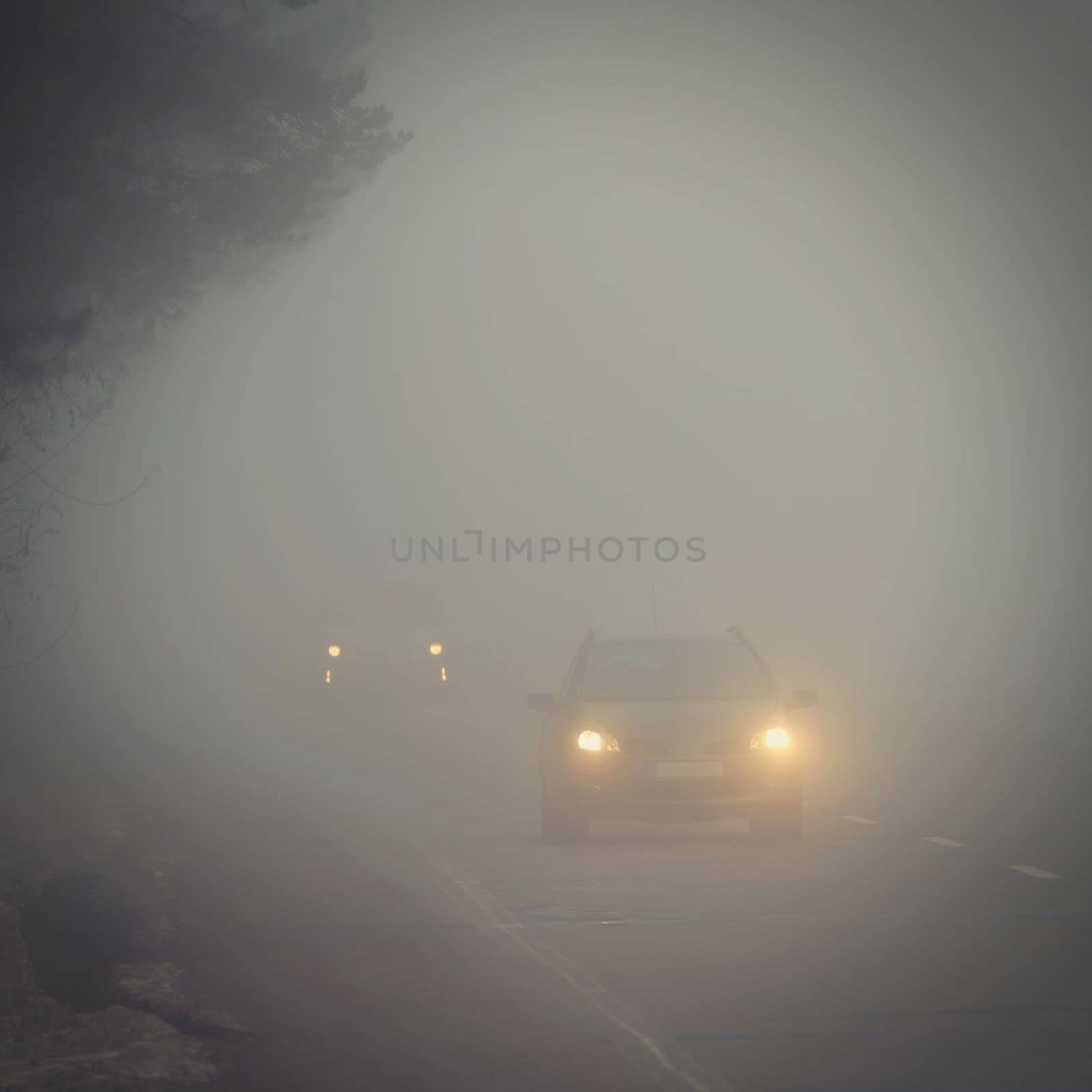 Cars in the fog. Traffic on the road in winter in bad weather. Dangers of driving cars. by Montypeter