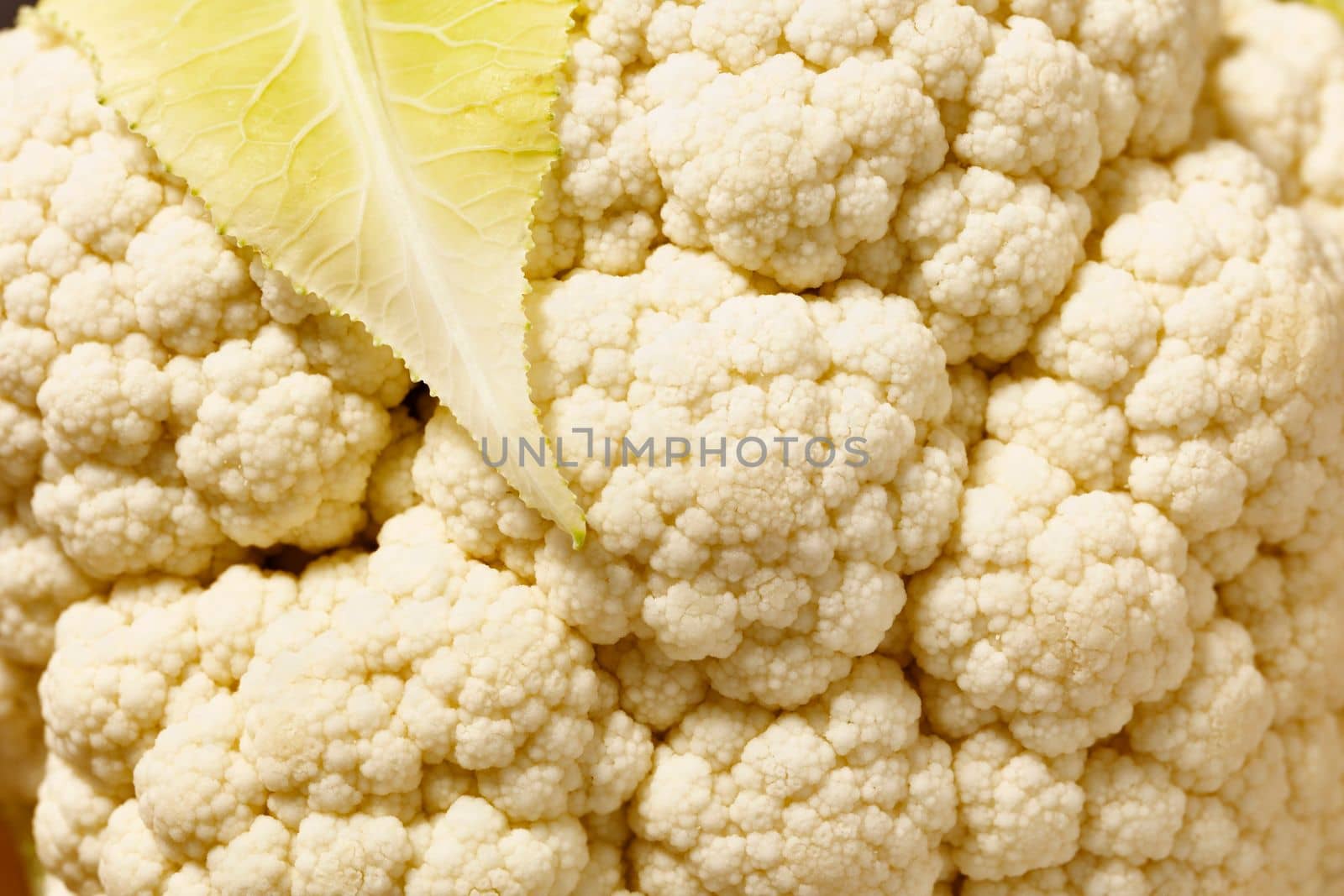 Close up of cauliflower by victimewalker