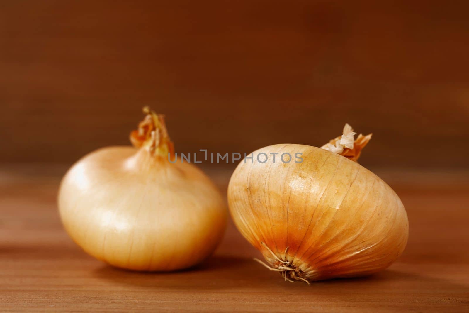 Italian borettane onions studio shot  by victimewalker