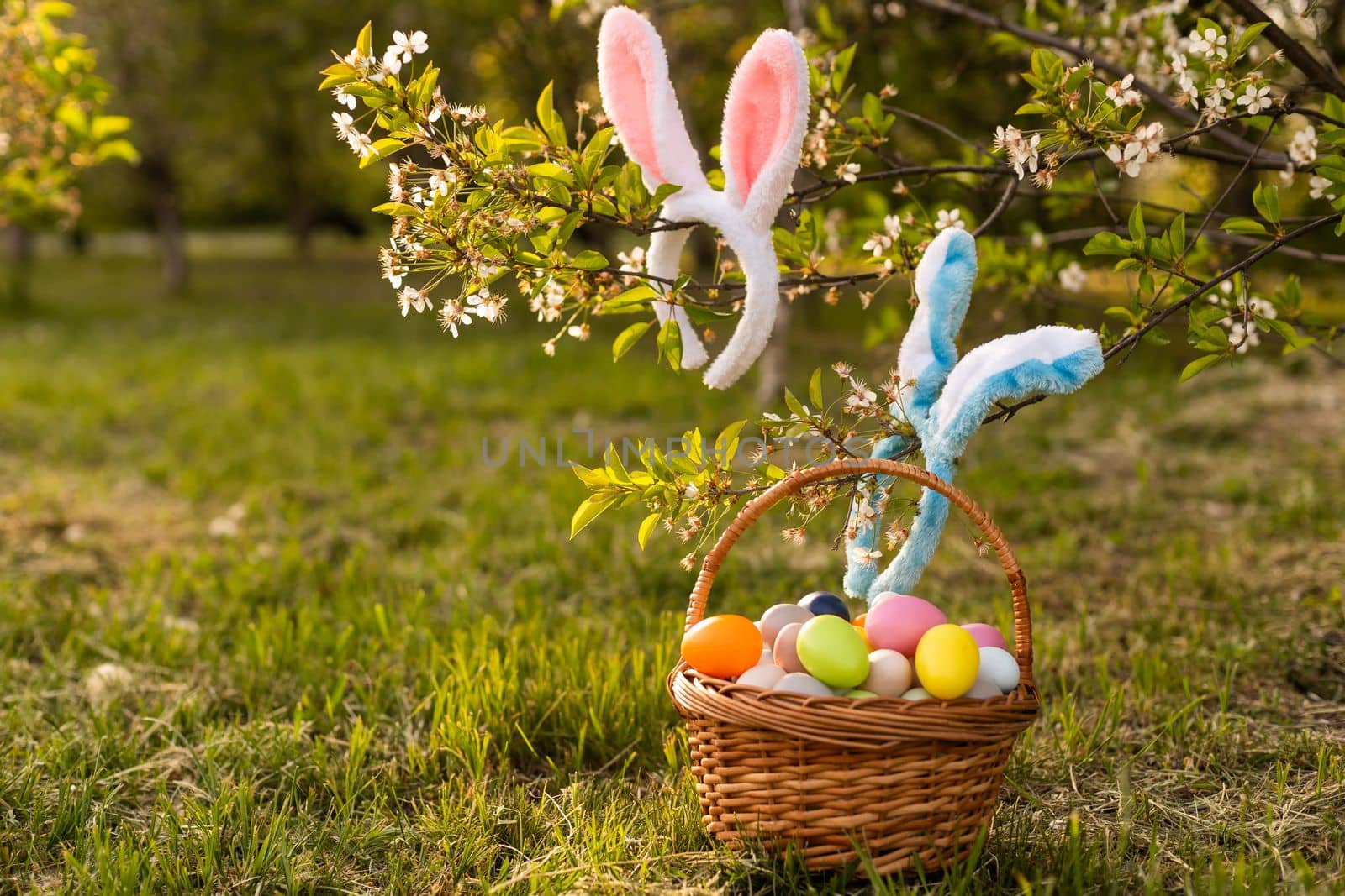 a basket with painted eggs and rabbit ears, Easter. Celebrating Easter at spring. Painting eggs