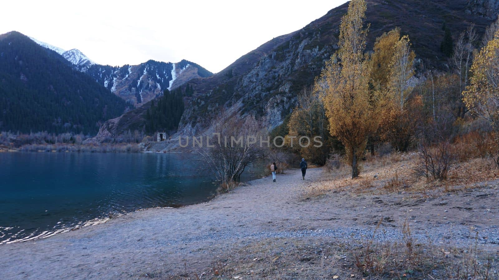 A mountain lake with turquoise water flooded the trees. The branches of the trees peek out of the clear, transparent water. Green hills, forest and snowy mountains are visible in the distance. Issyk