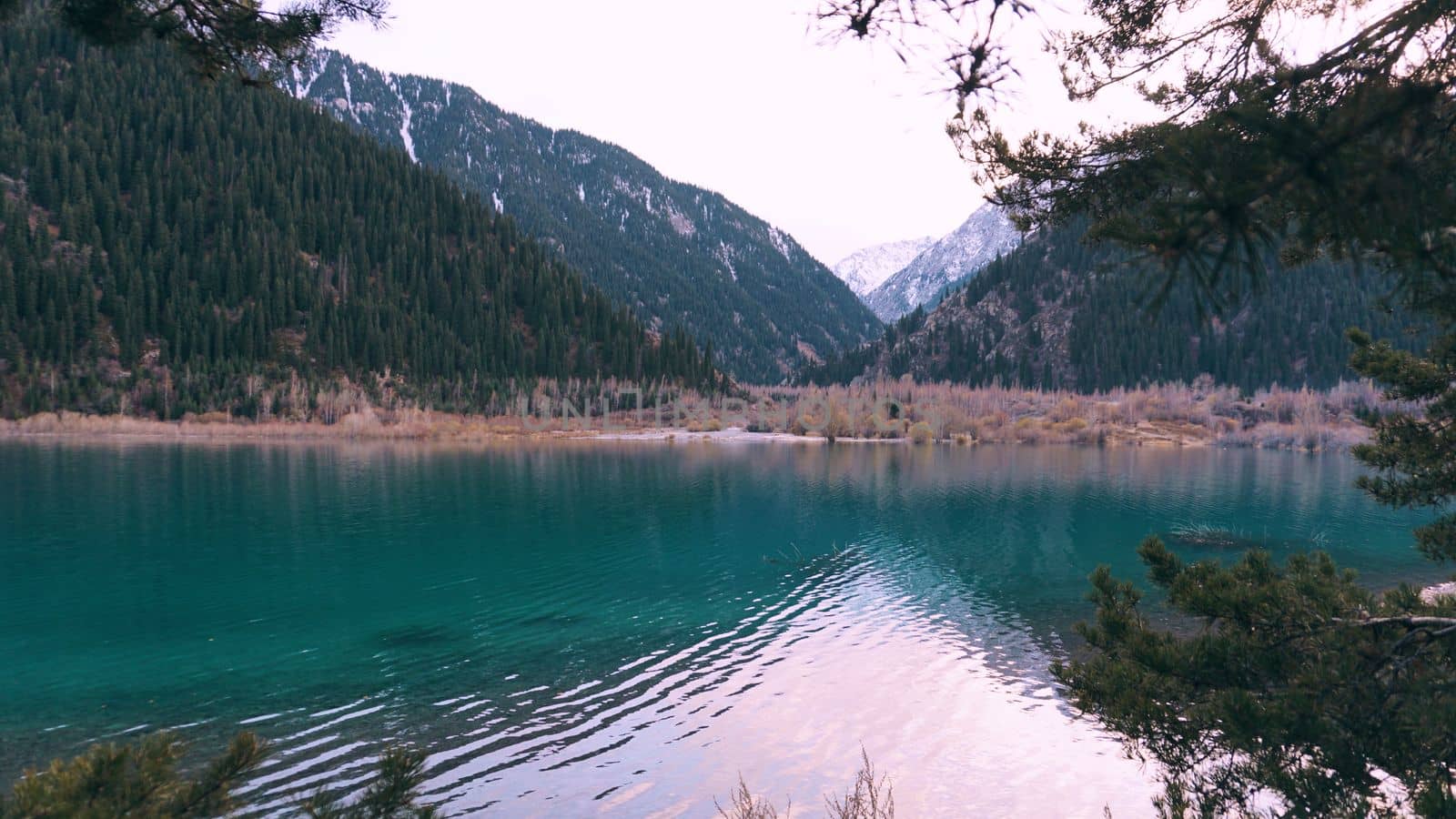 A mountain lake with turquoise water flooded the trees. The branches of the trees peek out of the clear, transparent water. Green hills, forest and snowy mountains are visible in the distance. Issyk