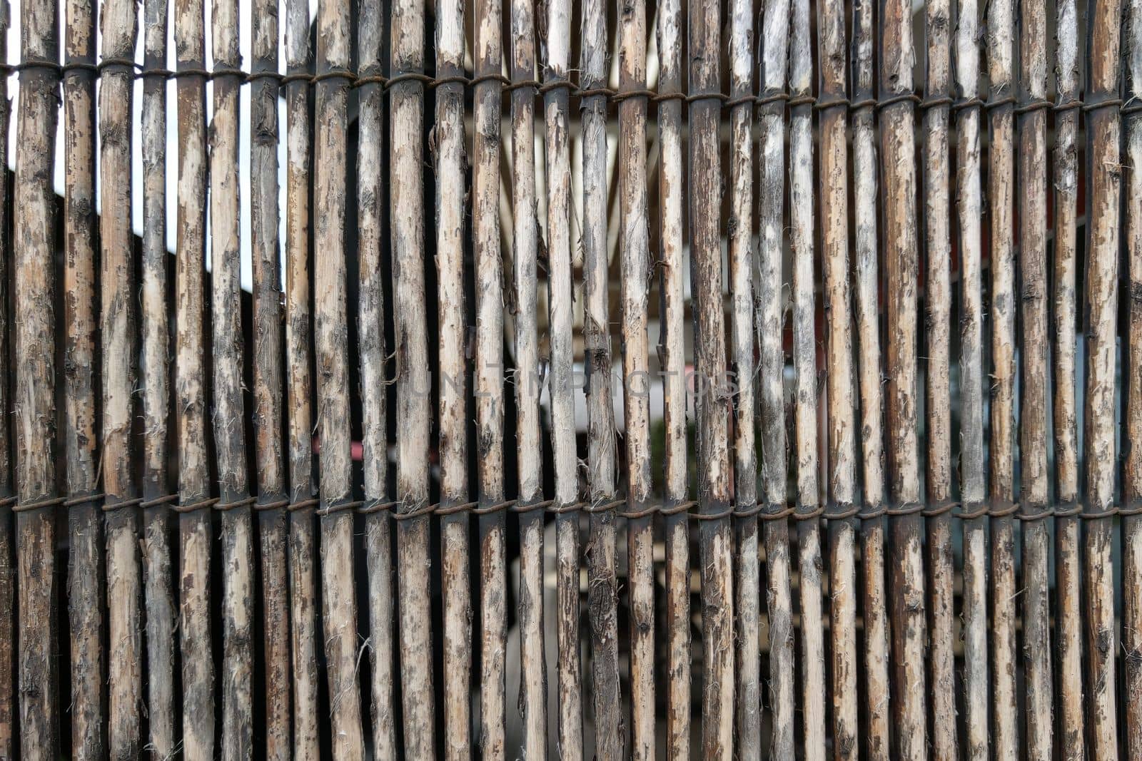 View of the old bamboo fence, background, texture