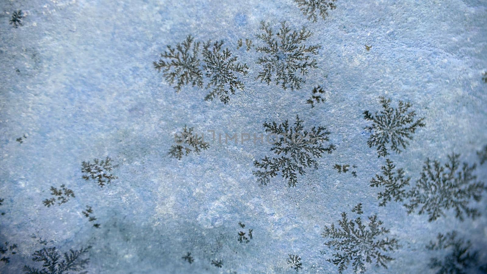 The surface of the stone with a natural natural pattern in the form of snowflakes.Macrophotography.Texture or background.