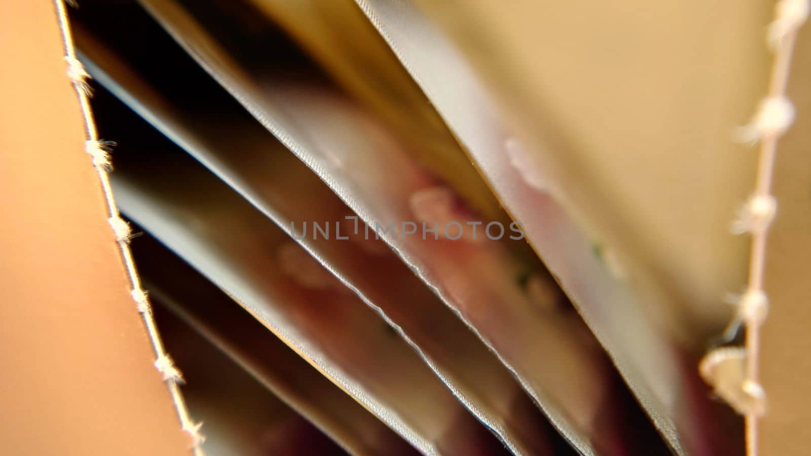 An open package with golden tea bags . Macrophotography.Texture or background.Selective focus.