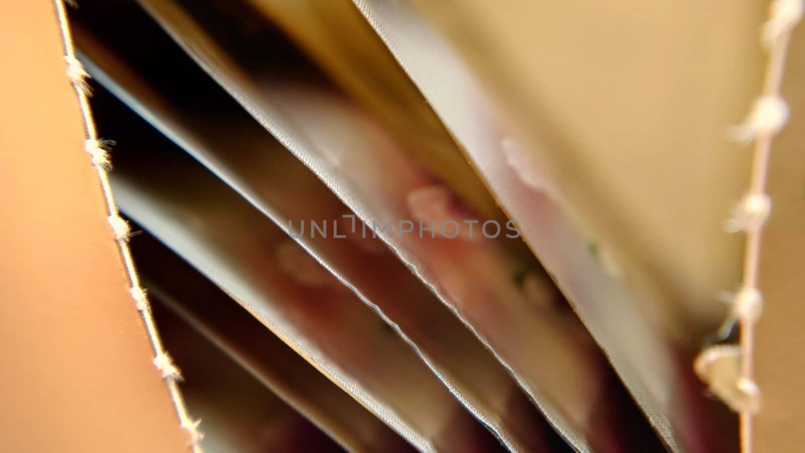 An open package with golden tea bags . Macrophotography.Texture or background.Selective focus.