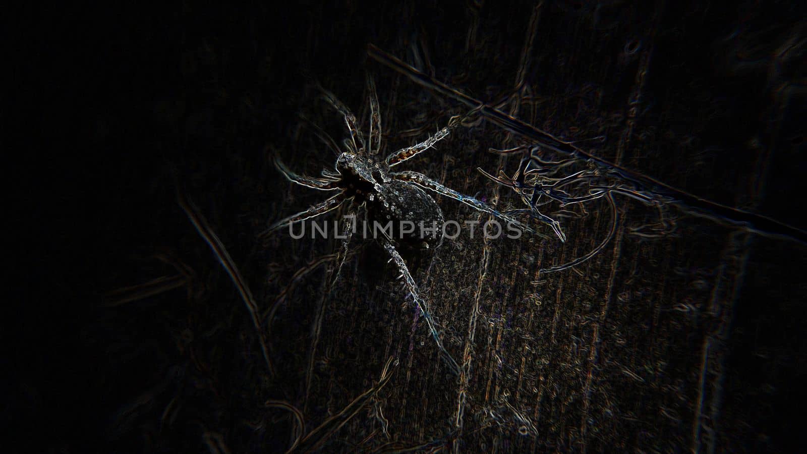 Creepy abstract spider on an old wooden board black background. Macrophotography.Texture or background.Selective focus.